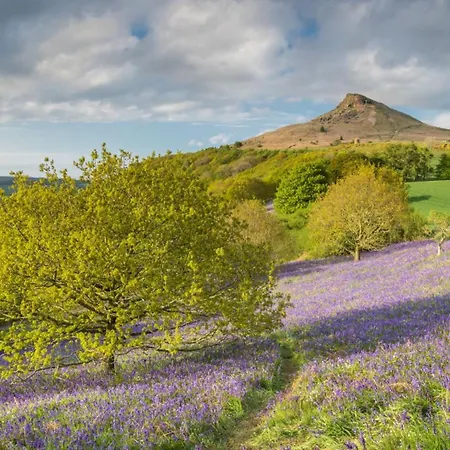 Stunning At Bay - Dog Friendly * 런스윅